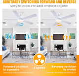 Ceiling Fans with Lights, 52inch Low Profile Ceiling Fan with Light and Remote Control,Reversible, 3CCT, Dimmable, Quiet, White Ceiling Fan for Bedroom Indoor/Outdoor Use