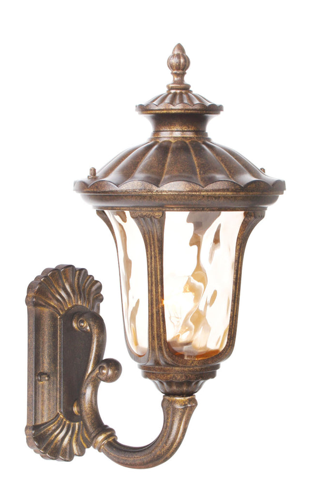 Livex Oxford 1 Light MG Outdoor Wall Lantern - C185-7652-50